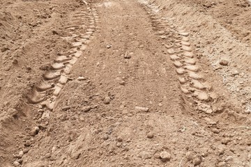 lots tire track on dirty soil ground for abstract background