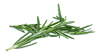 rosemary isolated on white background (Mix, set , collection)