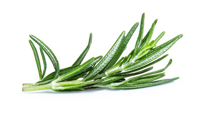 Fototapeta premium rosemary isolated on white background (Mix, set , collection)