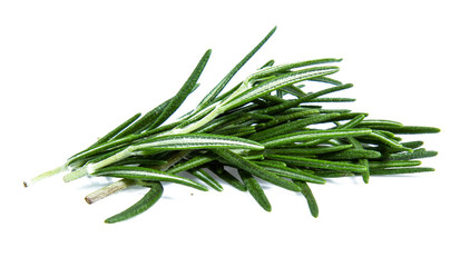 Fototapeta premium rosemary isolated on white background (Mix, set , collection)