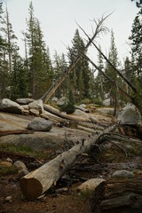 Yosemite and surrounds