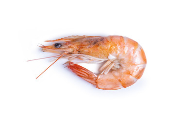 clipping path shrimp isolated on white background
