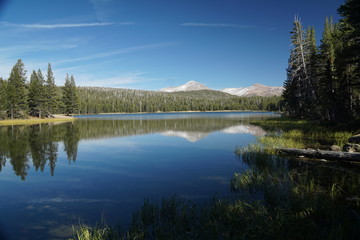 Yosemite and surrounds