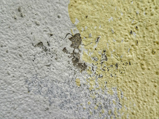 texture of old wall