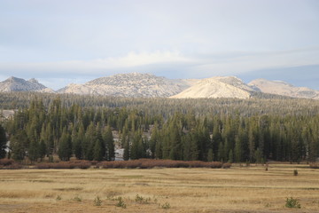 Yosemite and surrounds