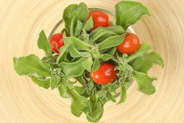 Ice plant vegetable greed frosty leaf