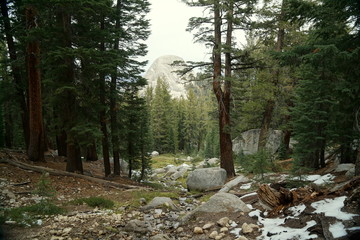 Yosemite and surrounds