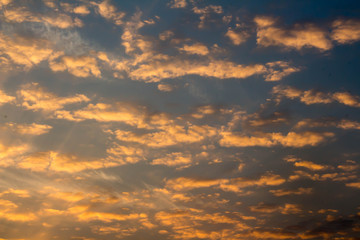 Obraz premium Gold sky in the morning