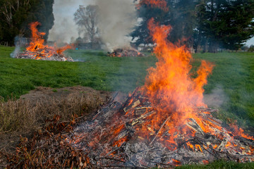 Multiple burn piles  getting rid of the rubbish and garden cuttings on the paddock at the farm