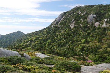 Naklejka premium 屋久島 最高峰宮之浦岳 山頂への道 投石平と黒味岳