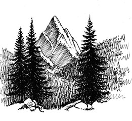 Mountain peak and forest. Ink black and white drawing