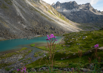 Reed Lakes Hike in Palmer Alaska on a cloudy day