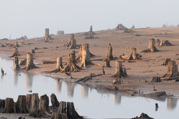 Desolate landscape 