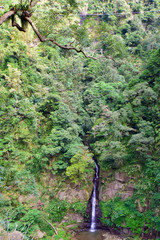 Bamboo creek trail hiking in Chiayi, Taiwan