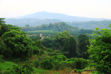 熊本　西南戦争の激戦地　田原坂　