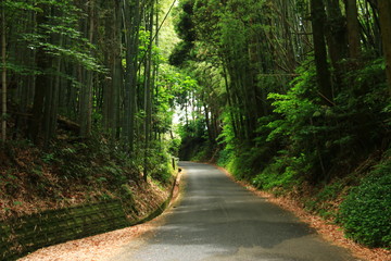 熊本　西南戦争の激戦地　田原坂　
