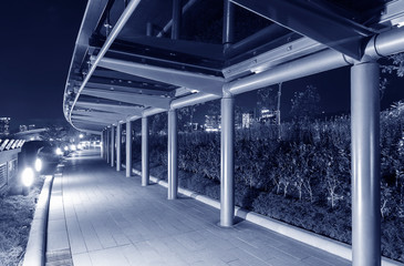 Empty modern pedestrian walkway in park at night