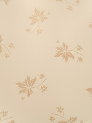 Beautiful abstract color surface gray black and white granite texture on white wall and white and black granite tiles floor pattern