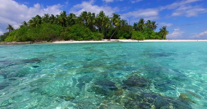 Close up of beautiful rocky seabed seen through crystal emerald water of tranquil lagoon washing shore of isolated tropical island with palm trees in Caribbean