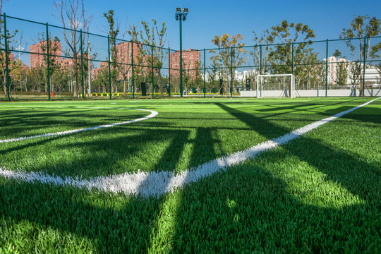 The Sports Playground In The Park With Artificial Grass And A Stretched Net On A Background Of Green Trees