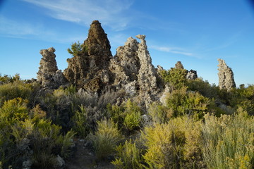 Yosemite and surrounds