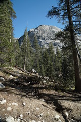 Yosemite and surrounds