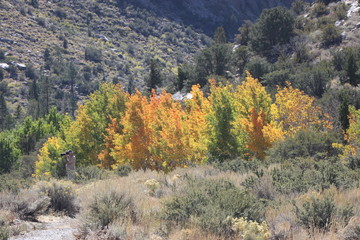 Yosemite and surrounds