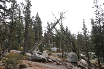 Fototapeta premium Yosemite and surrounds