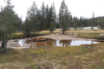 Yosemite and surrounds