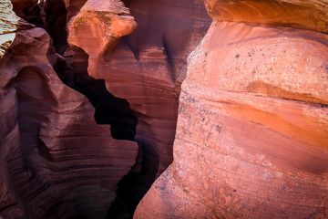 Bright Curves of the Antelope Canyon, Arizona, USA