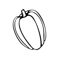 Vector hand drawn outline illustration of bell pepper. Black contour doodle in line art style. Sketch of farm and garden vegetable. Isolated contour icon. Coloring book design element