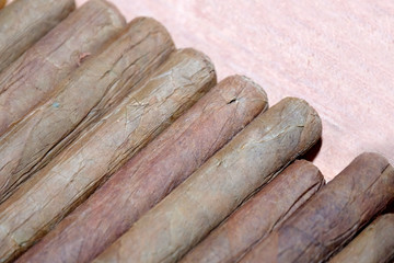 Close up of Cigar on the tobacco leaves