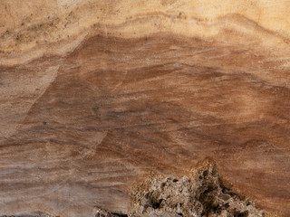 Wood texture