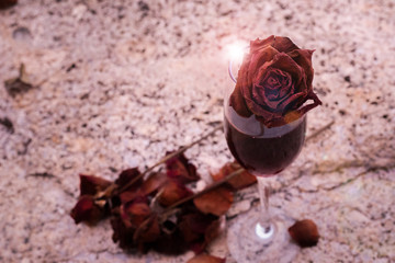 dead rose dead drama