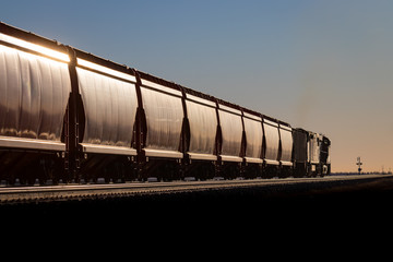 Train of Covered Hoppers Glinting in Sunrise