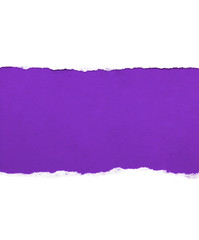 White paper with torn edges isolated with a bright violet color paper background inside. Good soft...