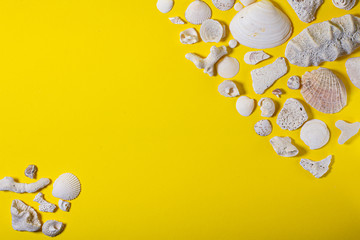 Minimalistic background seashells on yellow background. Travel summer concept