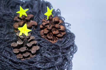 Pine cone for Christmas background