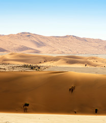 Fototapeta na wymiar Beautiful landscape of sand dune desert with clear blue skyat Namib desert in Namib-Naukluft national park Sossusvlei in Namibia.