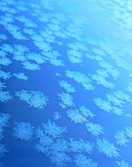 Fototapeta na wymiar Snowflake. Macro photo of real snow crystal