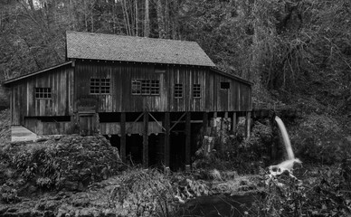 Historical grist mill hidden in the forest