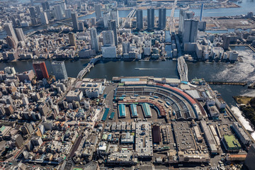 Naklejka premium 現役時代の築地市場