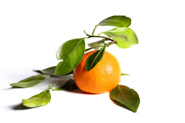 Mandarin with leaves on a white background. Beautiful fruit.