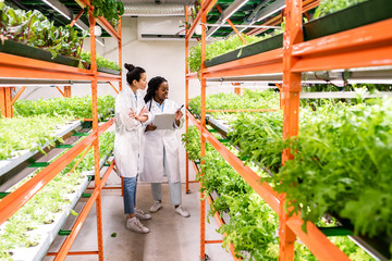 Group of young intercultural female researchers studying new sorts of plants