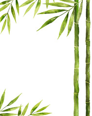Fototapeta na wymiar Watercolor vector bamboo stem with green leaves and copy space.