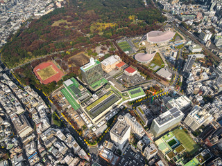 Naklejka premium 代々木公園全景