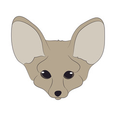 fox portrait vector illustration, color illustration, wild world