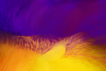 Macro photography of colorful fluids