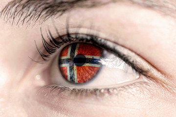 Obraz premium Flag of norway reflects in woman green eye - close-up view - election, sport, hope, young, generation 