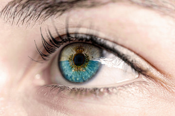 Fototapeta na wymiar Flag of san marino reflects in woman green eye - close-up view - election, sport, hope, young, generation 